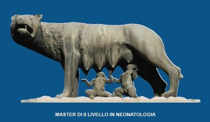 Convegno Roma, 4 ottobre 2013