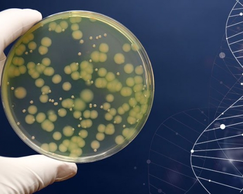 Microbioma